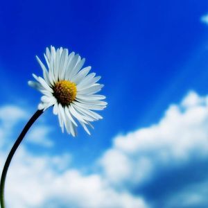 Meet your Posher, Sue